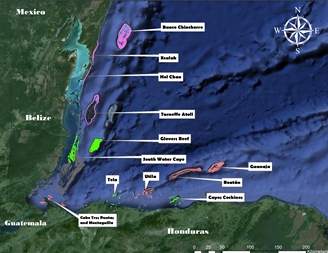 Imagen2-rri