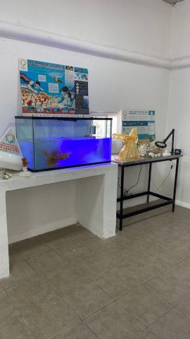 Material used in the Laboratorio de los Arrecife.