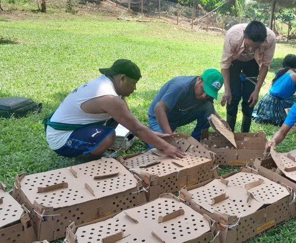 14RfP_EcoLogic_COMMUNITIES OF THE SARSTÚN RIVER WATERSHED STRENGTHEN THEIR RESILIENCE AND ADAPT TO CLIMATE CHANGE