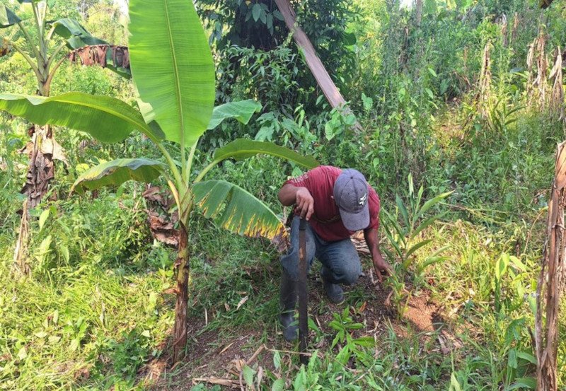16RfP_EcoLogic_SEVEN COMMUNITIES FROM RÍO SARSTÚN MULTIPLE USE AREA (RSMUA) PROTECT THE TROPICAL FOREST WITH ACTIONS OF RESILIENCE TO CLIMATE CHANGE