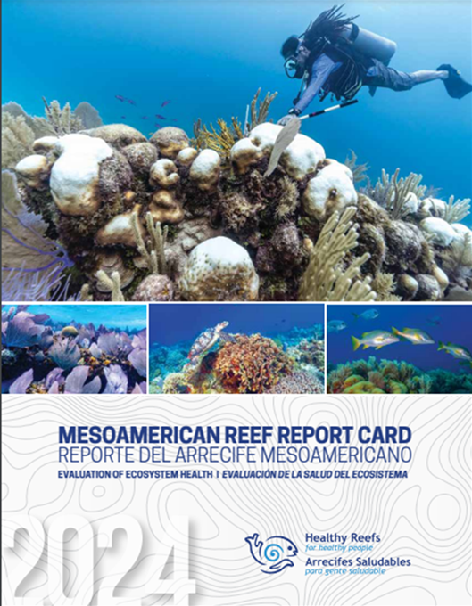 2024 Reef Health Report Card-cover