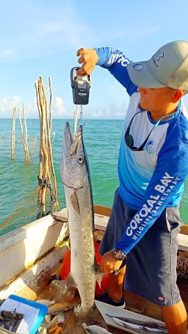 Fish catch assessment