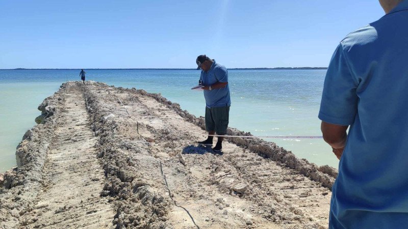 Illegal pier inspection