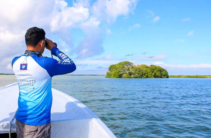 bird survey
