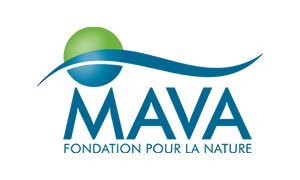 maya-foundation-logo