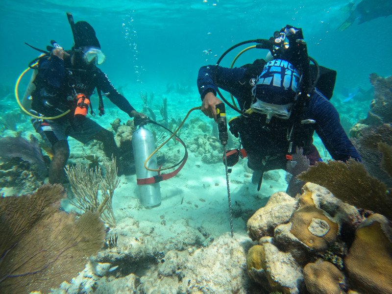 reef brigade was trained-01