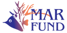 Update 2024 – MAR Fund