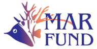Update 2024 – MAR Fund