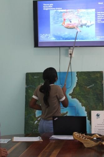 Junior Mangrove Guardians learning about shark anatomy