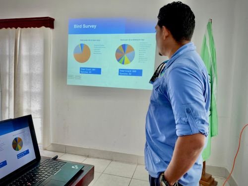 presenting data on the bird nesting colonies in the Cayo Falso